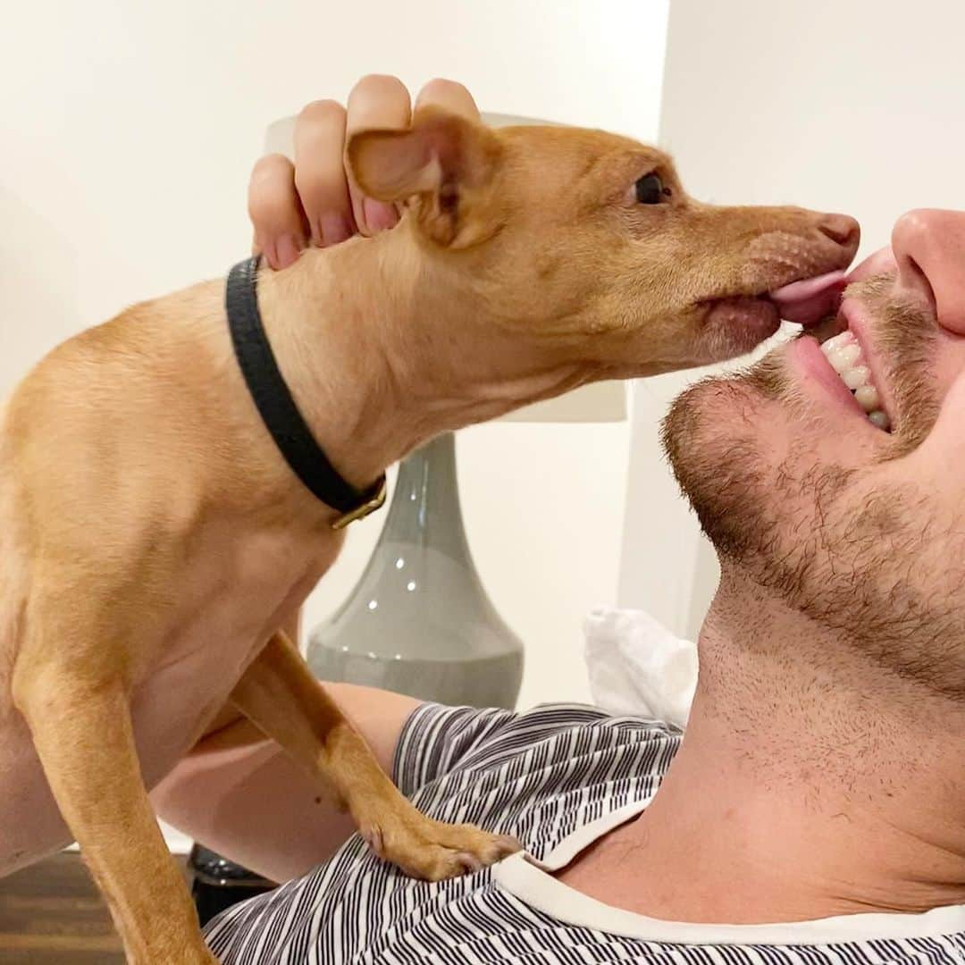 Tuna {breed:chiweenie} さんのインスタグラム写真 - (Tuna {breed:chiweenie} Instagram)「I’m so thankful to be married to a man who encourages sharing, has sympathy when one of the children refuses to, and then let’s the other one slobber all over his face to make up for their rejection. My sweetest, Ian. You’re an incredibly precious gift to all three of us! Your love abounds for our kiddos, and me, and we adore you in return. Witnessing their adoration for you makes me swoon with joy! You’re the kindest husband and father, and your so intentional. Thank you for loving us with excellence! We love you way more than Tuna loves cheese! 😘🧀😍 #happyfathersday」6月22日 5時45分 - tunameltsmyheart