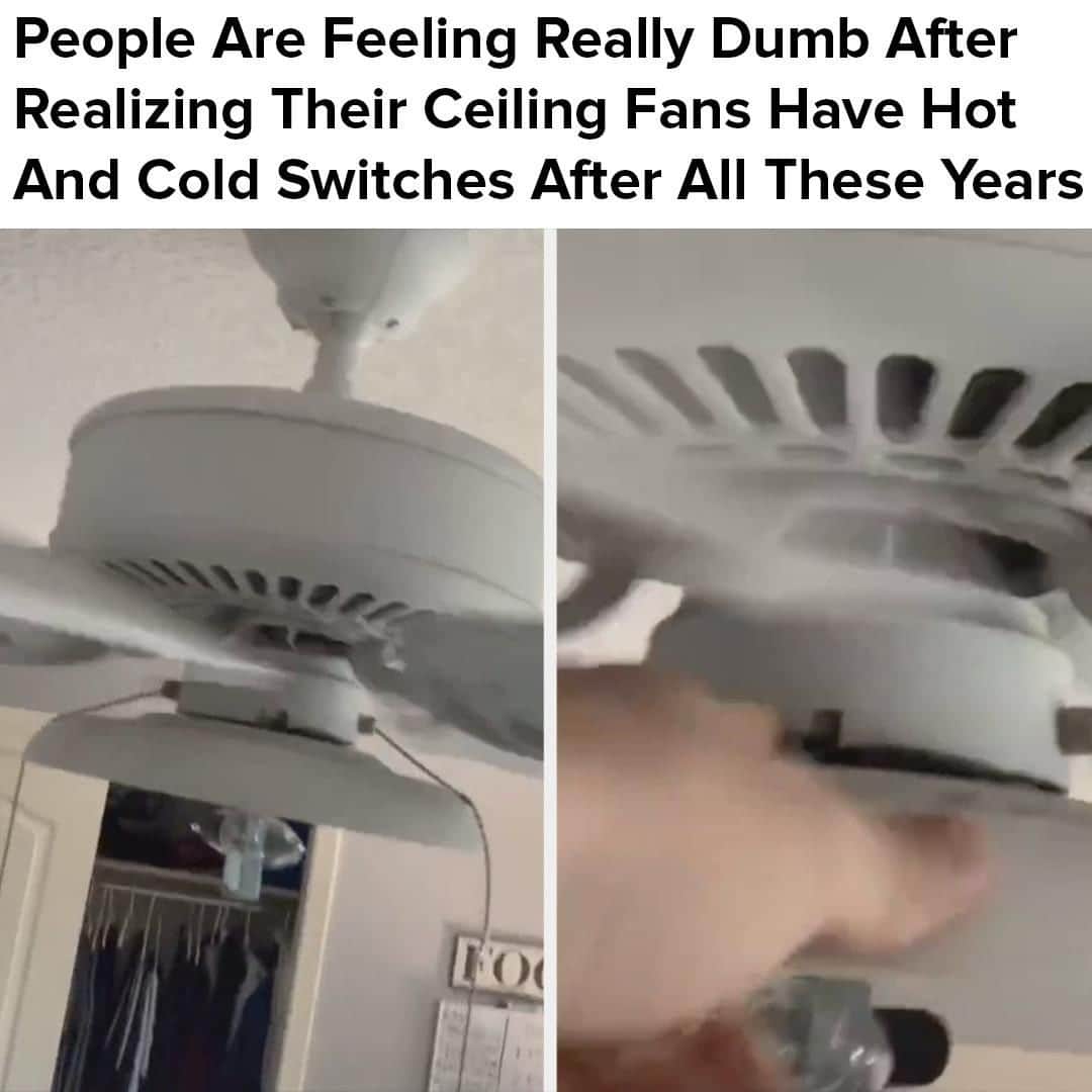 BuzzFeedさんのインスタグラム写真 - (BuzzFeedInstagram)「All those summers, and I had the fan on the "hot" setting? I'm upset. Read the full article in the link in bio.」6月22日 7時00分 - buzzfeed