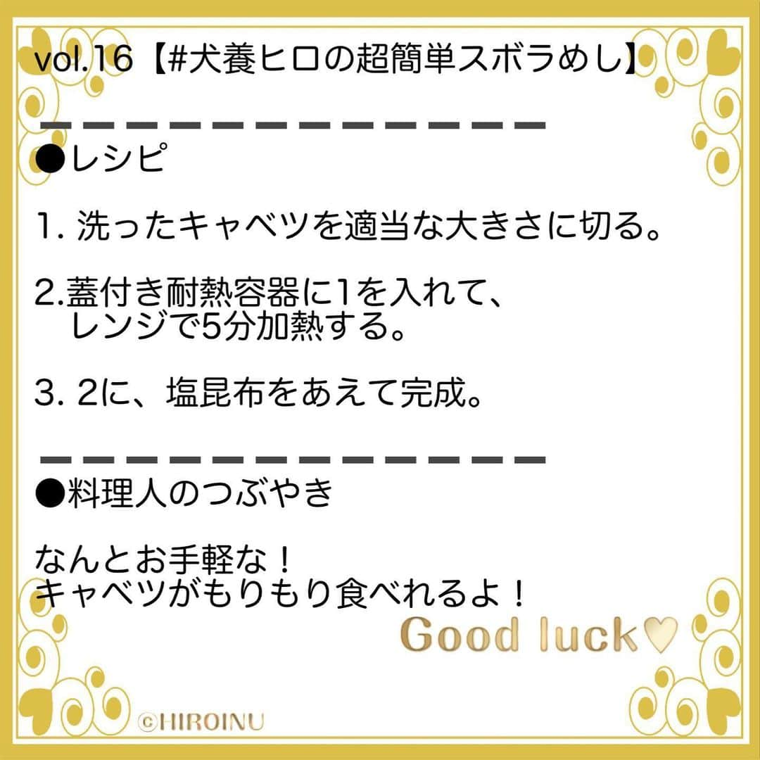 犬養ヒロさんのインスタグラム写真 - (犬養ヒロInstagram)「✨最新レシピ🍽配信中✨﻿ 💕🔝のURLをCHECKしてね👆💕﻿ ﻿ みなさま、楽しい1日を❣️﻿ ✨💕✍️(о´∀`о)ノ💕✨﻿ ➖➖➖➖➖➖➖➖➖➖➖﻿ #本日の献立　#超簡単 #おうちごはん #簡単レシピ #料理 #料理好きな人と繋がりたい #料理写真 #野菜レシピ #自炊 #手料理 #一品料理 #デリッシュキッチン #飯テロ #anan  #時短レシピ #時短ごはん #簡単料理 #晩御飯の記録 #朝ごはん ごはん #晩ごはん記録 #夜ごはん #ズボラ飯 #アンアン  #犬養ヒロ  #お昼ごはん #いただきます #ごちそうさまでした  #猫さま占い #料理研究家 #キャベツ」6月22日 7時10分 - hiro_inukai_official