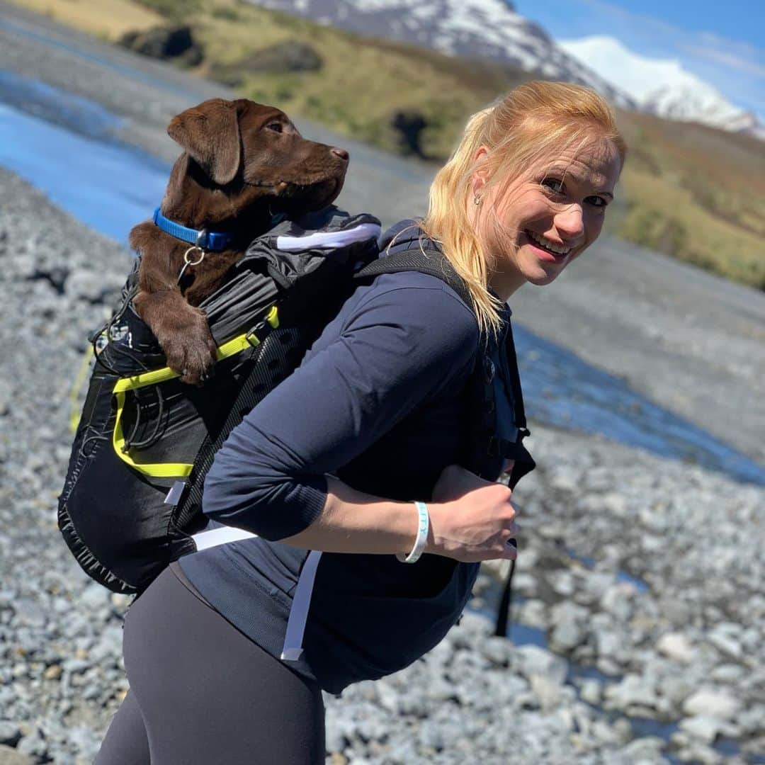 アニー・スラスドーターさんのインスタグラム写真 - (アニー・スラスドーターInstagram)「Like us the puppies need to build their endurance- this guy 4 months old wasn’t quite ready for a long hike so had to be carried the way back... I’ll take that load any day 🤗⁣ ⁣ Balances me out quite well actually 😂⁣ ⁣ #puppylove #iceland」6月22日 7時30分 - anniethorisdottir