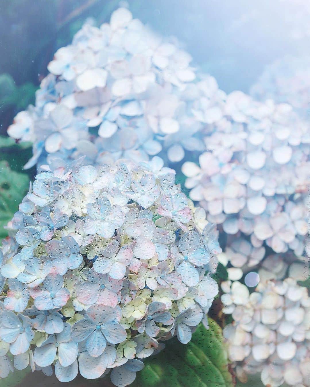 のインスタグラム：「雨の月曜日☂️﻿ 今週も頑張りましょう☺️✨ ﻿ ﻿ 在宅勤務が終わって今日から﻿ また都内に出勤、、、﻿ ﻿ でも、4月から週4勤務にしてもらったからとっても楽になりました❣️﻿ ﻿ 毎週三連休って幸せ過ぎる✨」
