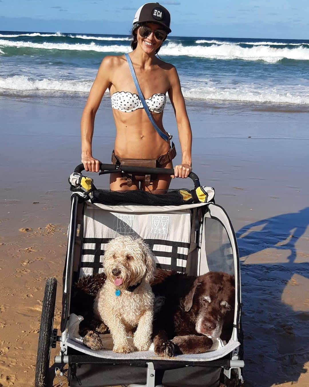 シャーニ・ヴィンソンのインスタグラム：「We miss you Mochahead 😢💔🐕 Life hasn’t been the same since」