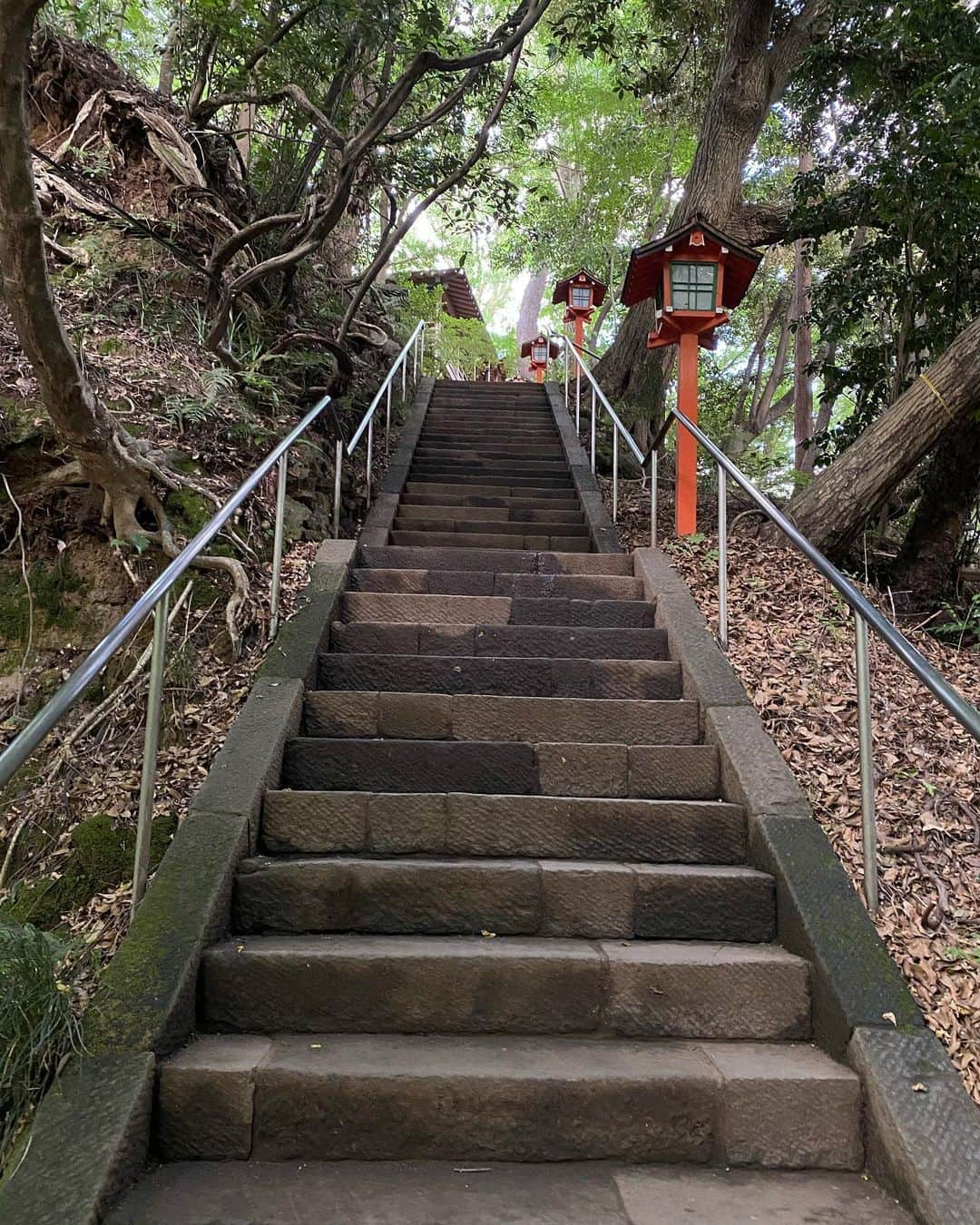 村川翔一さんのインスタグラム写真 - (村川翔一Instagram)「雨ニモ負ケズ.... そういうものに私はなりたい！！ この前の写真。 #散歩 #等々力 #等々力渓谷  #ゴルフ橋 #等々力不動尊  #階段 #ソラ #うさぎ  #野毛大塚古墳」6月22日 8時34分 - shoichi.m.official