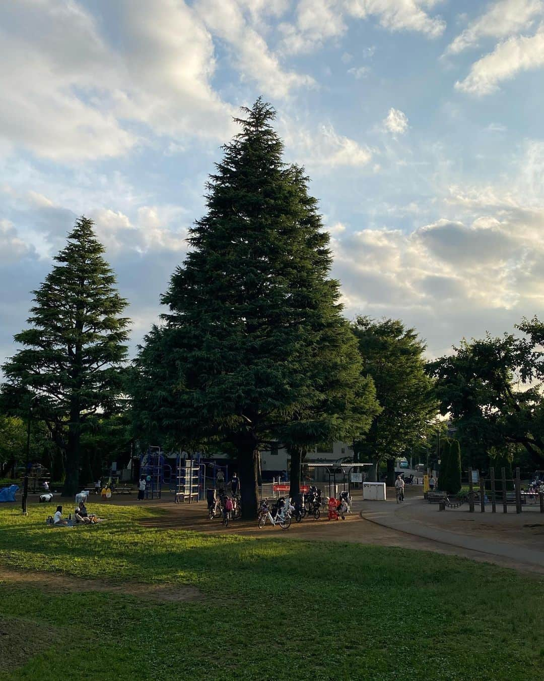 村川翔一さんのインスタグラム写真 - (村川翔一Instagram)「雨ニモ負ケズ.... そういうものに私はなりたい！！ この前の写真。 #散歩 #等々力 #等々力渓谷  #ゴルフ橋 #等々力不動尊  #階段 #ソラ #うさぎ  #野毛大塚古墳」6月22日 8時34分 - shoichi.m.official