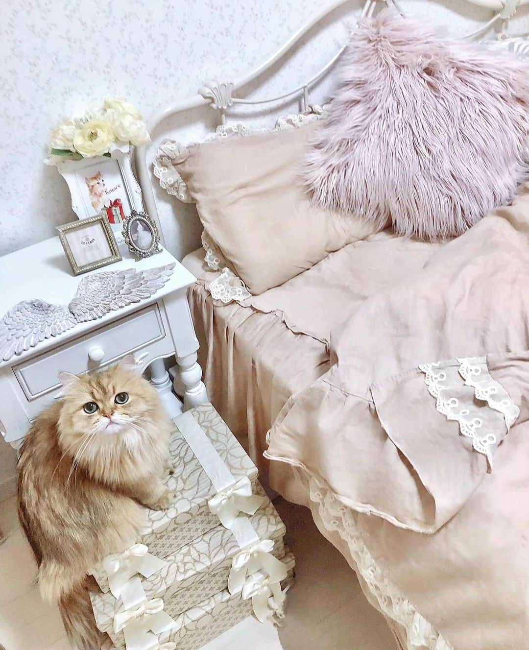 佐藤瀬奈のインスタグラム