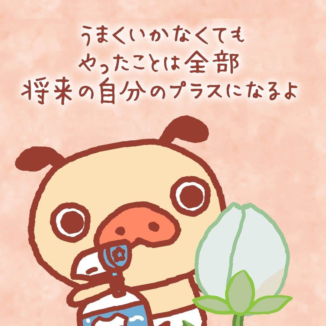 パンパカパンツ公式のインスタグラム