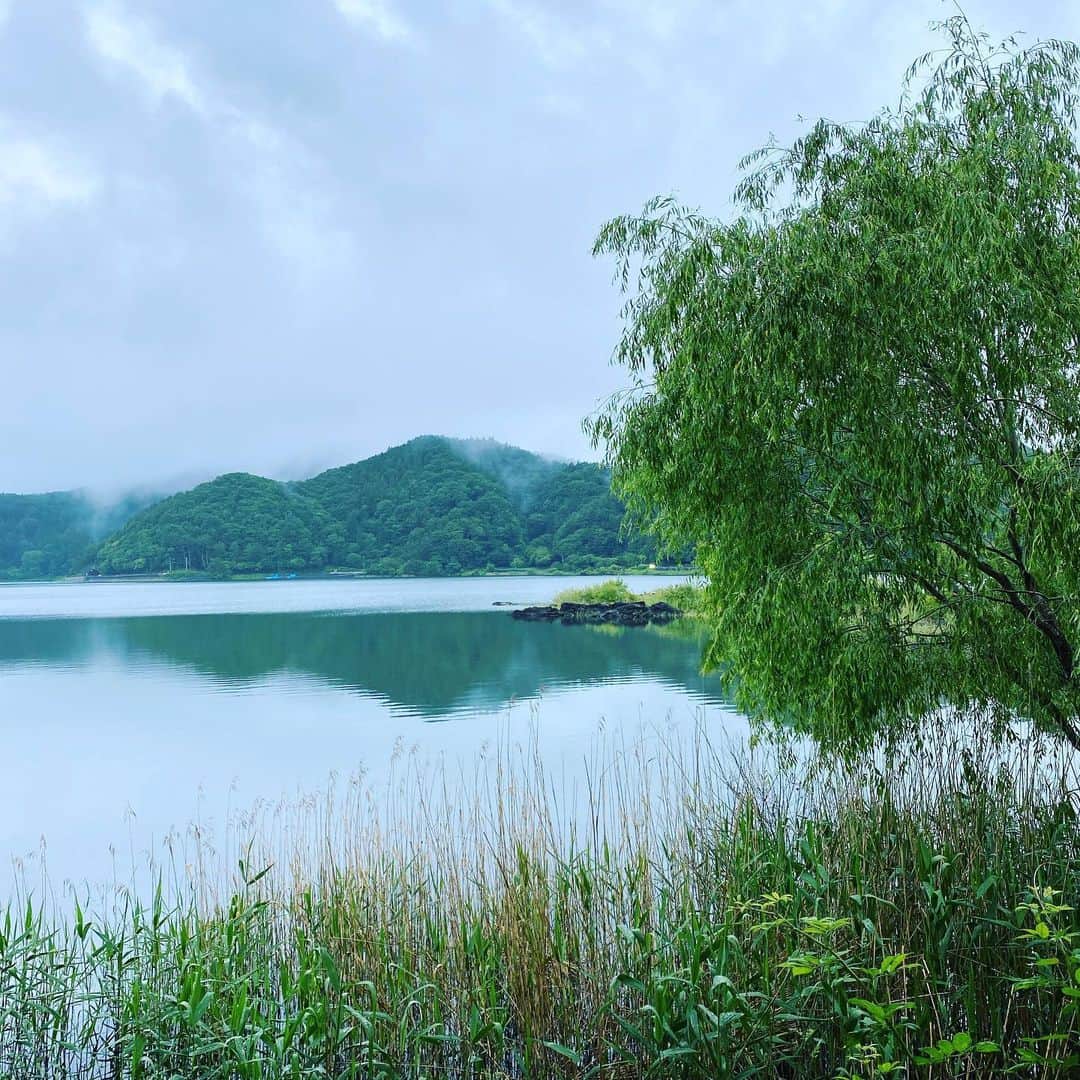 岡田美里さんのインスタグラム写真 - (岡田美里Instagram)「雨上がり#湖」6月22日 18時17分 - millieokada