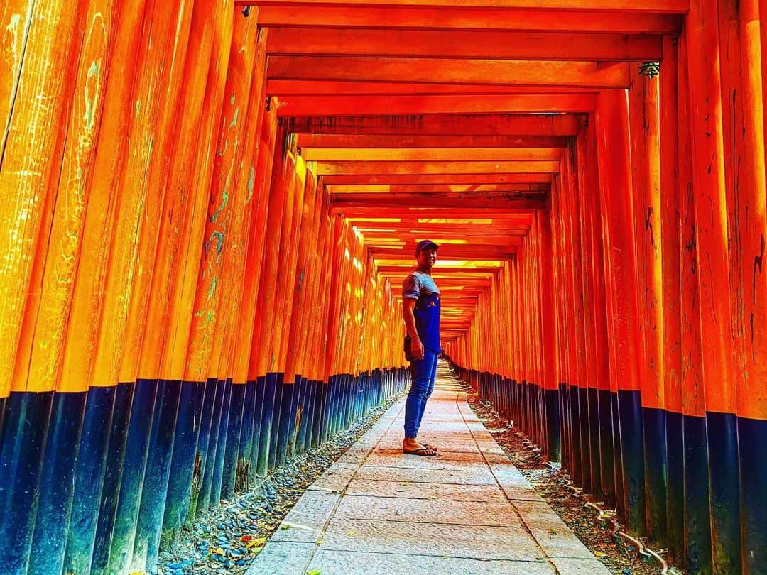 藤田慶和さんのインスタグラム写真 - (藤田慶和Instagram)「伏見稲荷に走り行ったり歩き行ったり大変お世話なりました🙏 #伏見稲荷大社 #鳥居 #京都 #kyoto #running #walking #adidas」6月22日 18時19分 - yoshikazu15