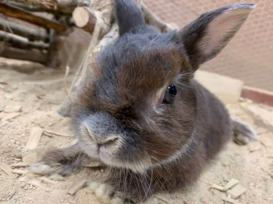 【公式】福岡ECO動物海洋専門学校のインスタグラム