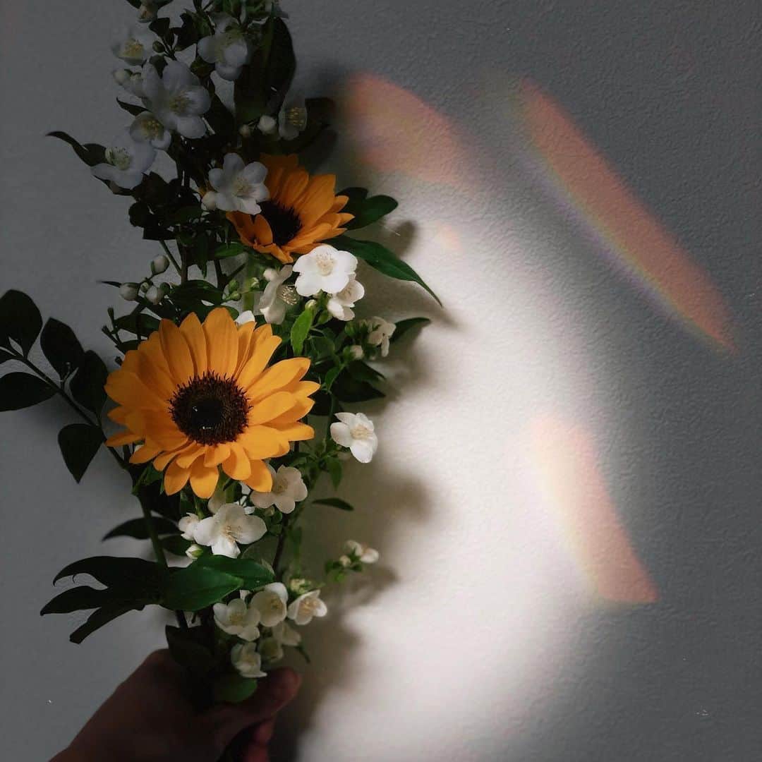 黒ユイさんのインスタグラム写真 - (黒ユイInstagram)「#flower #sunflower  #🌻」6月22日 19時11分 - yui_my_life