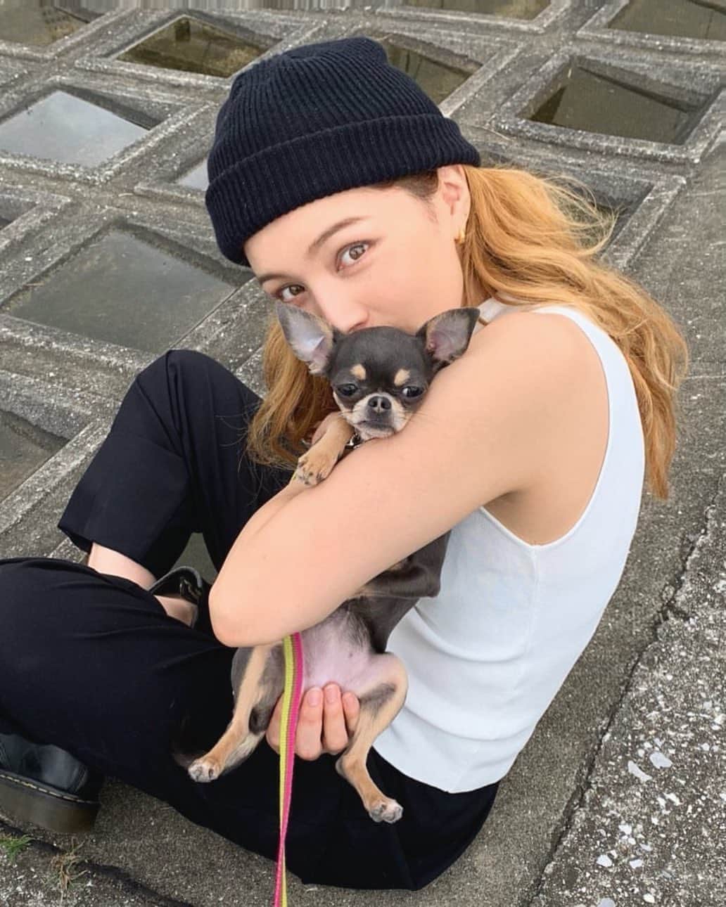 のインスタグラム：「🐶🌞💕 ブリちゃん、ぎゅー。」