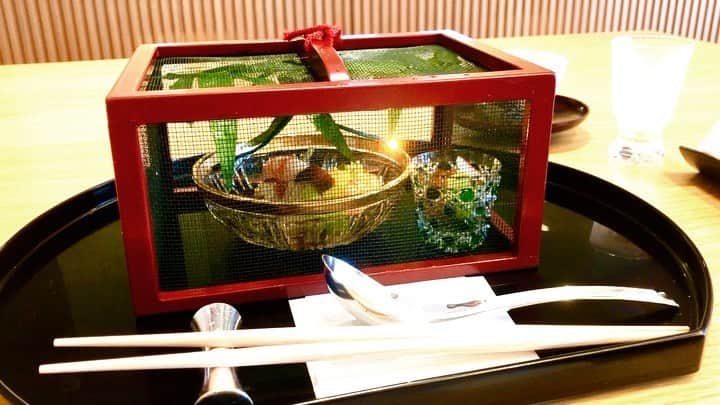 櫻井麻美のインスタグラム：「蛍の季節⭐️✨✨ 美味しい記憶😋 ・ ・ ・ #時差投稿 #蛍 #ホタル #実は蛍が見られる穴場知ってる #美食  #美しすぎる  #美し過ぎる #美しすぎる料理  #和食 #日本料理  #和食ランチ  #japanesefood  #japaneseculture  #firefly  #lightningbugs」