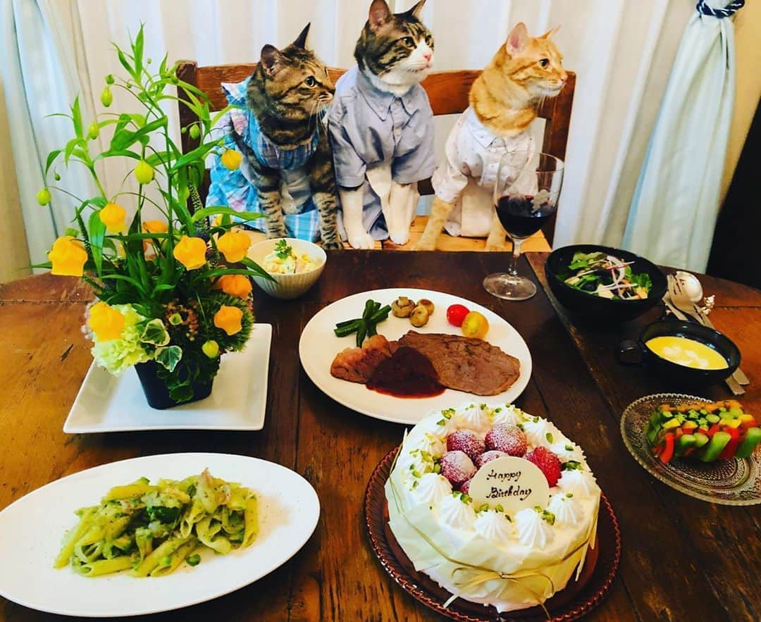 マロさんのインスタグラム写真 - (マロInstagram)「🎂Birthday menu🎂 ✴︎ .サーロインステーキ　with しょうがトマトソース (Sirloin steak with ginger tomato sauce) .夏野菜のテリーヌ (Terrine of summer vegetables) .アボカドとペンネのジェノベーゼ (Avocado and Penne Genovese) .冷製コーンスープ (Cold corn soup) .りんごとクルミのグリーンサラダ🥗 (Green salad with apples and walnuts) ✴︎ @kazuyoshisaito_official さん @yukaitaya さん お誕生日おめでとうございます🎉 憧れのお二方と同じ日に生まれた事を嬉しく思っています💓 ✴︎ いつもコメントありがとうございます😸🙏💞 返信出来なくてすみません🙇‍♀️ 全て拝見しています🐾 ✴︎ Thank you for your kind comments😸🙏💞 I'm sorry that I couldn't reply. ✴︎ #cat#cats#catsofinstagram#😻#chef#food#wine#ねこ#猫 #ねこ部#誕生日#6月22日#料理 #斉藤和義#板谷由夏#感謝」6月22日 19時20分 - rinne172