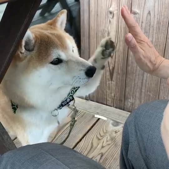 豆助左衛門（まめすけざえもん）のグルメインスタ