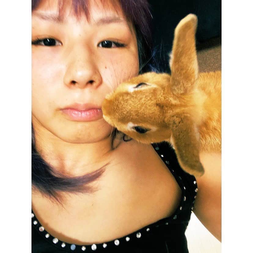 三浦彩佳さんのインスタグラム写真 - (三浦彩佳Instagram)「初めまして。 僕の名前は茶太郎です。 暴れん坊です。 ご飯も沢山食べます。 好きな食べ物はキャベツです🥬 ジャンプ力はピカ1です。 かなりの暴れん坊です。  #ネザーランドドワーフ #rabbit」6月22日 10時45分 - ayaka_zombie