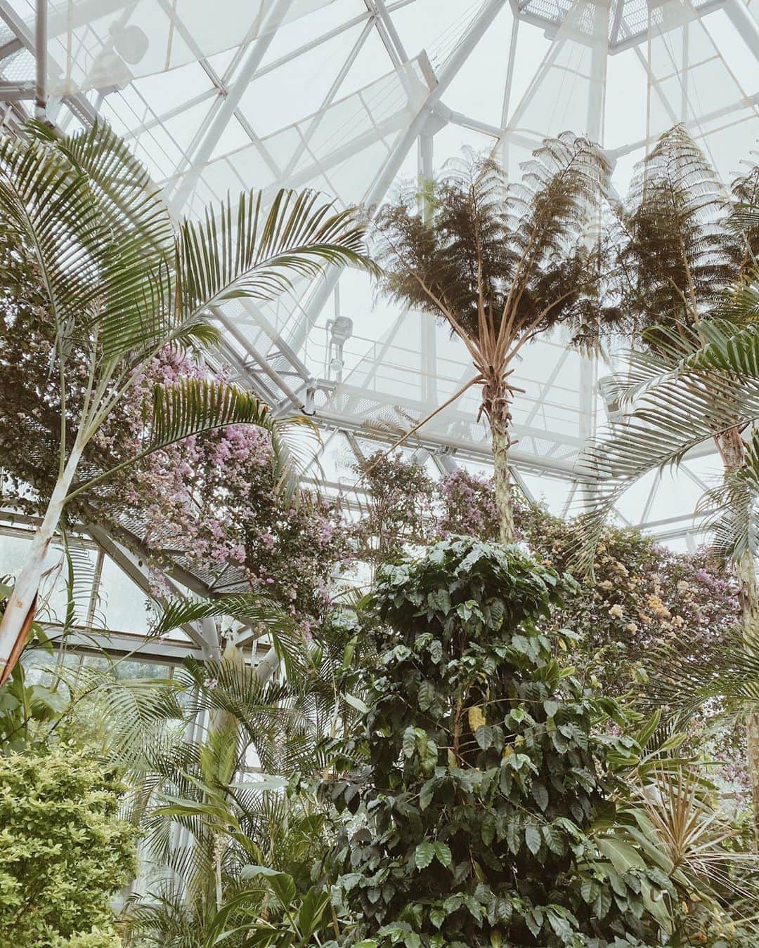 Yuiのインスタグラム：「. humidity and the scent of flowers support the mysterious sensation of not knowing whether it is inside or outside」