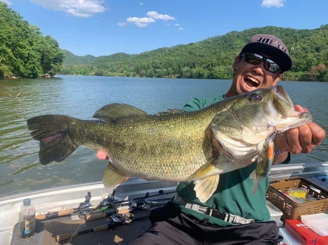 LureNews.TVさんのインスタグラム写真 - (LureNews.TVInstagram)「新番組始動！兵庫県青野ダムのロケで、スキップシャッド劇場＆スイムベイト炸裂！ #イヨケン#伊豫部健#青野ダム#ルアーニュース」6月22日 11時26分 - lurenews