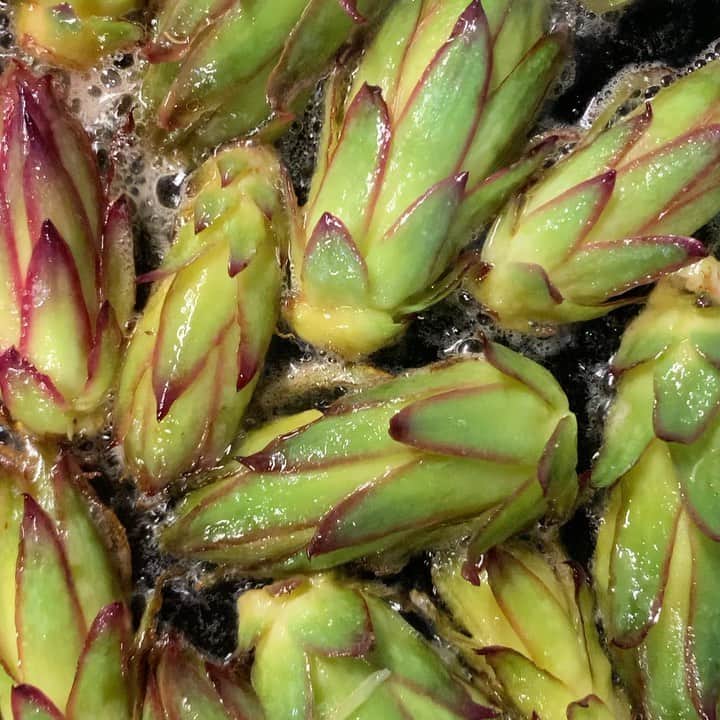 ONE SUITE Hotel & Resort（公式）のグルメインスタ