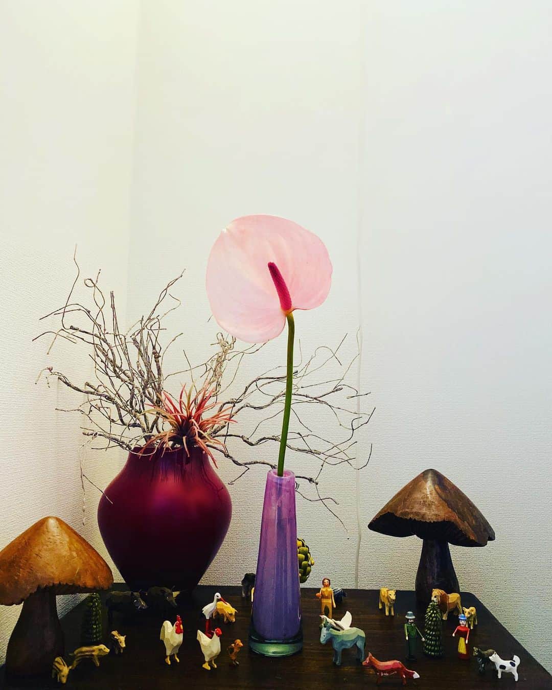 緒月遠麻さんのインスタグラム写真 - (緒月遠麻Instagram)「☺︎ いただいた アンスリウムを飾ったら 太陽の塔感。  #万博感」6月22日 12時02分 - toma_ozuki