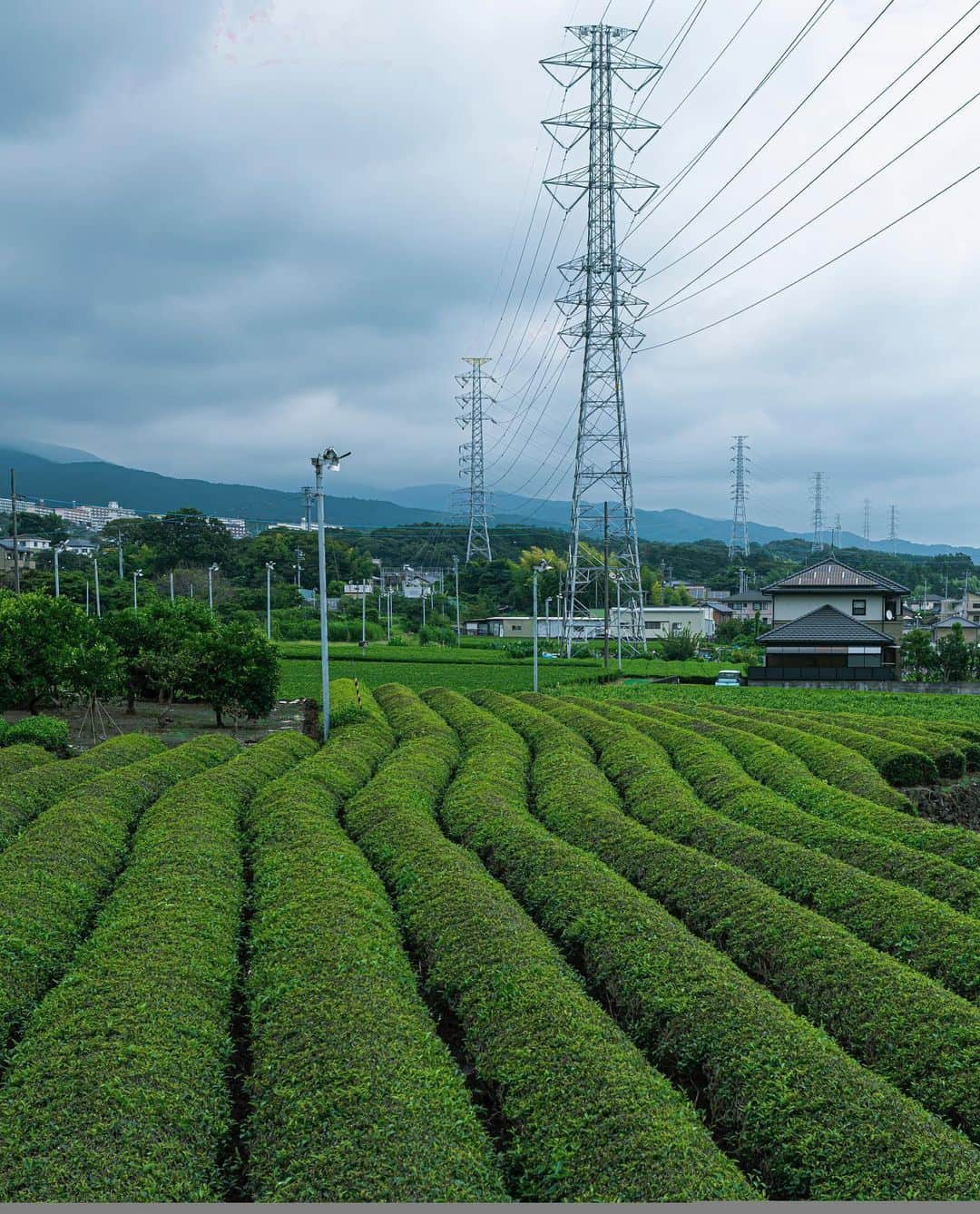 東京電力ホールディングス株式会社さんのインスタグラム写真 - (東京電力ホールディングス株式会社Instagram)「静岡県内　茶畑と鉄塔(2019年8月撮影) Steel tower at Shizuoka ◆鉄塔カードのご案内 栃木県版に続く第二弾、群馬県版「鉄塔カード」を作成しました。景色と調和しながらも電力供給に貢献する鉄塔の姿の魅力を伝えてまいります。詳細は東電グループHP「プレスリリース」をご覧ください。 #東京電力 #東電 #tepco #静岡県 #shizuoka #steeltower」6月22日 12時05分 - tepco.official