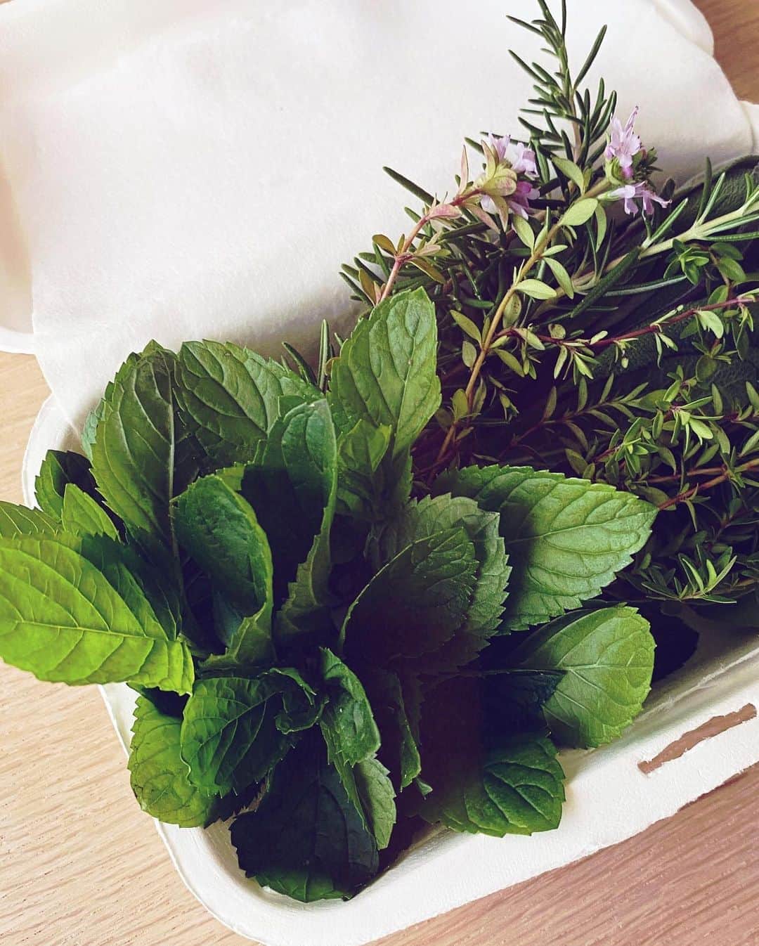 蛯原友里さんのインスタグラム写真 - (蛯原友里Instagram)「・ ・ 届いた〜♡ ワイルドリーフサラダ🌿 ・ 無農薬のハーブミックスサラダ。 とってもいい香り。 味もしっかりしていて、いつものサラダにちょっとプラスするだけで華やかに…♪ 今日は、こちらをいただきます☺︎ ・ ・ #herb #salad @naemekamogawa ・ ・」6月22日 12時27分 - yuri_ebihara