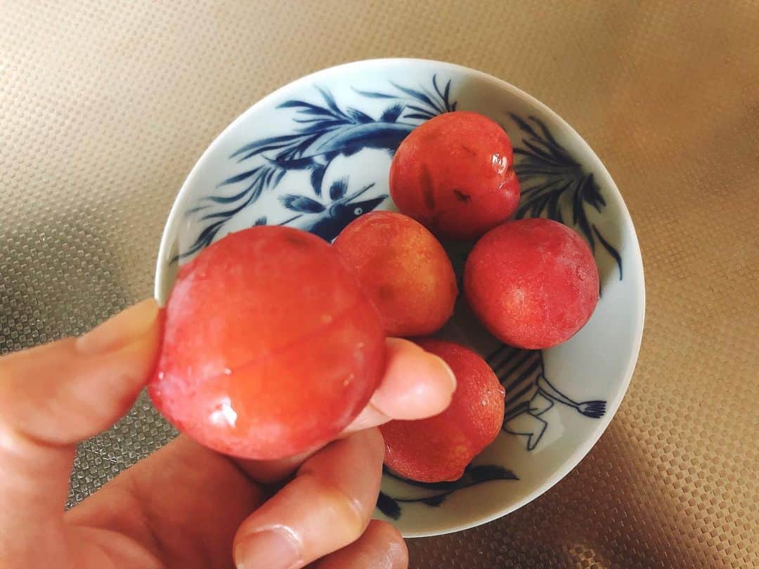 土井コマキのインスタグラム：「起きてすぐ食べるスモモが、体に沁みる。今年も小豆島の藤本さんが送ってくださった。 小豆島での想う壺1回目。ツアー参加者みんなで中山農村歌舞伎の舞台のとこで食べたなあ。食べきれなくてライブ会場でも。ホンマにありがたい。（2枚目以降の写真はツアーの時、小豆島カメラ撮影 @shodoshimacamera ）」