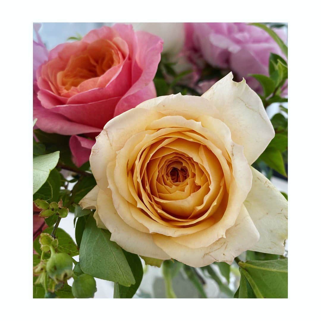 望月理恵さんのインスタグラム写真 - (望月理恵Instagram)「薔薇が美しいです。 花びら何枚あるんでしょう。 奥深い、、、 昨日はあーみんとのインスタライブにご参加頂きありがとうございました。グダグタでしたがw 次こそはバキバキに頑張ろうと 2人で話してました🤣 またぜひ参加してくださいね。  今日は雨のところが多いですよね。東京も雨、しかも肌寒いです。体調には気をつけてください。  #花#花好き#花生活 #薔薇はやはり美しい〜」6月22日 13時00分 - mochiee28