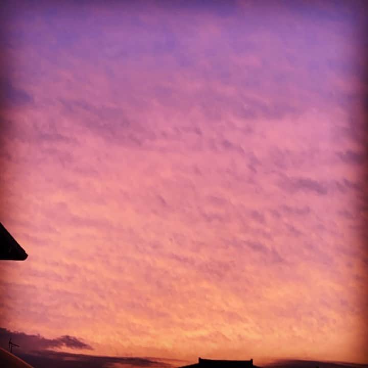 西山茉希さんのインスタグラム写真 - (西山茉希Instagram)「海を感じて、 緑を通って、 空を見た日。  #幸せづくり #幸ありありあり #さんきゅす  エネルギーチャージ完了。」6月22日 13時03分 - maki.nshiyama50