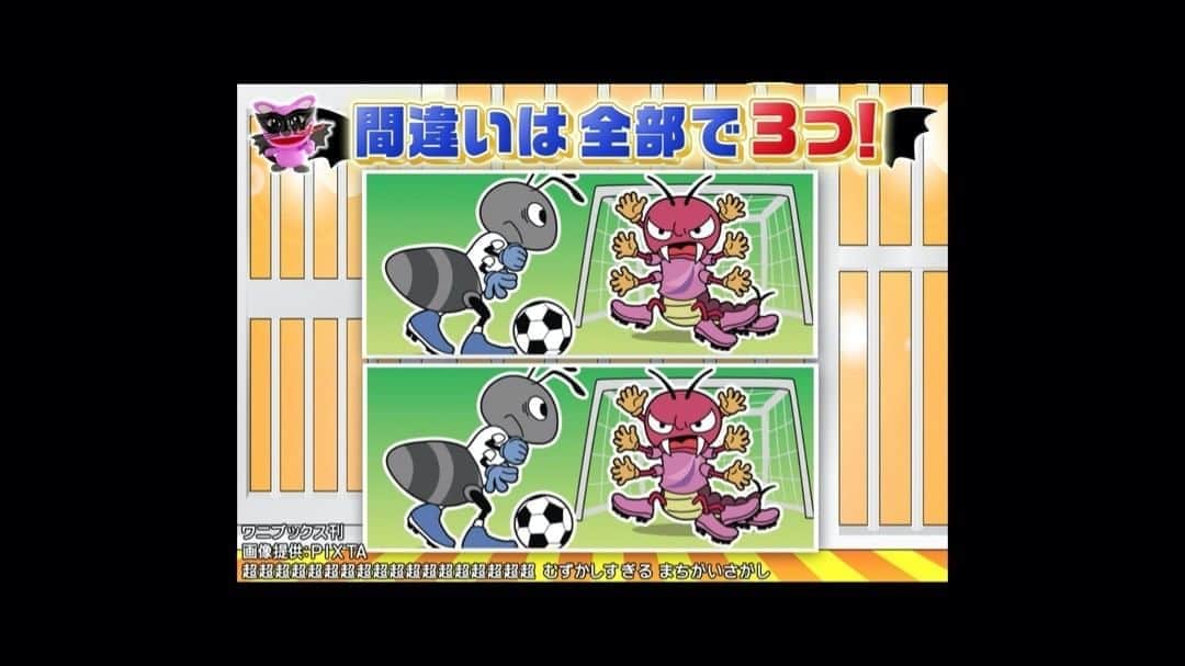 日本テレビ「ヒルナンデス！」のインスタグラム