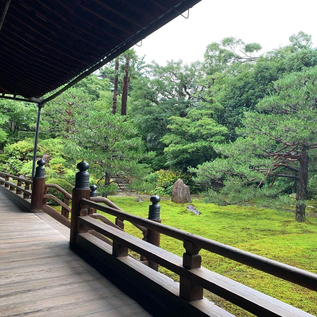 森夏子さんのインスタグラム写真 - (森夏子Instagram)「建仁寺塔頭　両足院﻿ ﻿ 初夏の半夏生の開花に合わせて﻿ 特別公開中✨(〜7／19まで)﻿ ﻿ 緑の葉が一部を残して白くなる半夏生の姿は﻿ まるでお花のようですが…﻿ 雨に濡れて露を含んだ姿は瑞々しく﻿ 私に何か語りかけてくれそうな﻿ 優しい空気を届けてくれました。﻿ ﻿ 今回は坐禅体験も✨﻿ ﻿ 雨の音が音符♬に聞こえて﻿ 雨音のリズムに心が動くなんて…﻿ まだまだですね😞﻿ ﻿ 顔に当たる風や﻿ 鳥の鳴き声🦆﻿ ﻿ あまりにもスピードの速い中での生活で﻿ 気がついてない事の多さを﻿ 知った時間でもありました。﻿ ﻿ 感謝♡﻿ ﻿ RYOSOKUIN TEMPLE Special Summer Admission  2020 6/20ー7/19 10:00-16:00 (Gate closes at 16:30) ﻿#両足院 #建仁寺塔頭両足院  #池泉廻遊式庭園  #半夏生  #水無月 #梅雨 #京都 #坐禅体験 #ryosokuin temple  #garden #specialadmission  #zen ﻿」6月22日 13時31分 - natsusora72