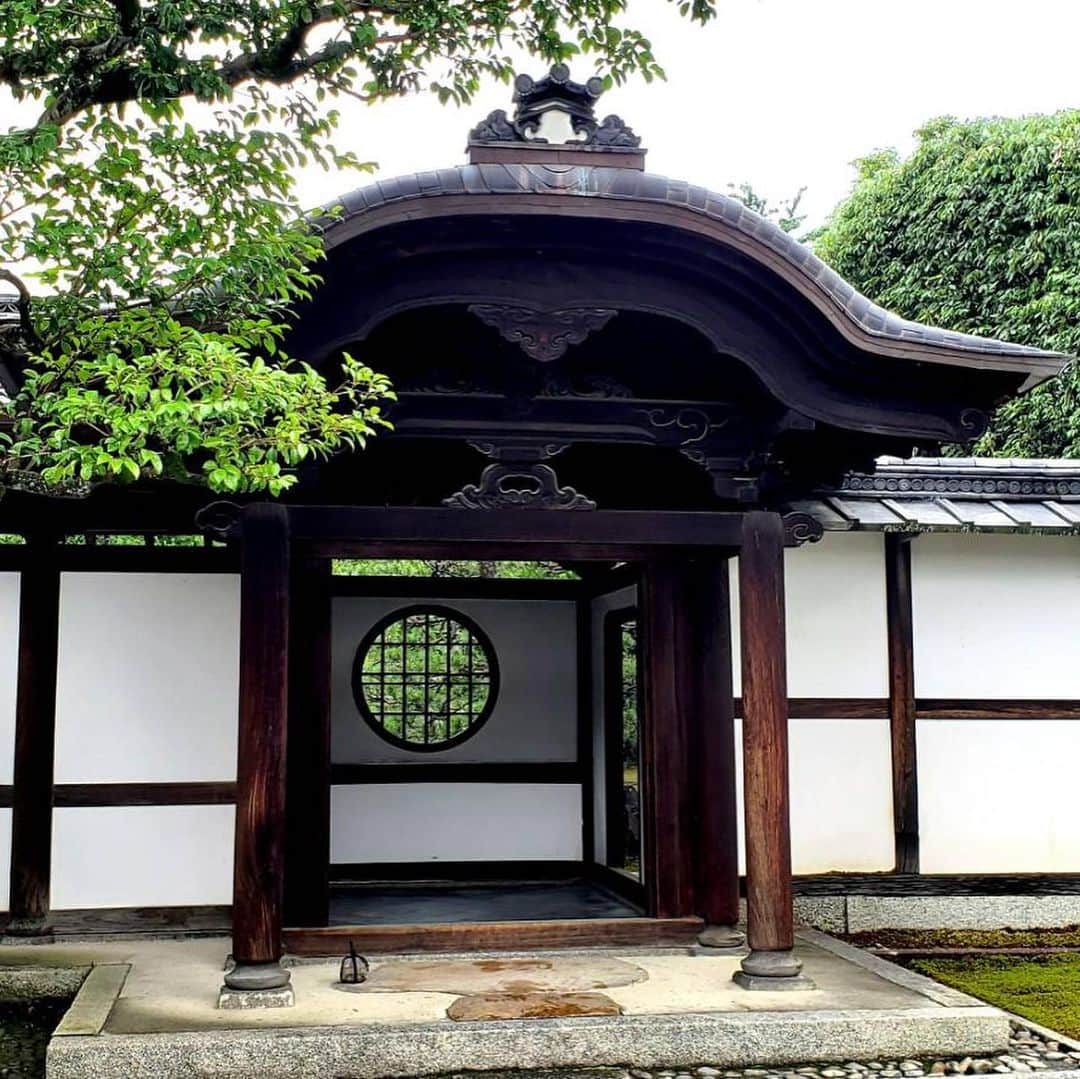 のインスタグラム：「建仁寺塔頭　両足院﻿ ﻿ 初夏の半夏生の開花に合わせて﻿ 特別公開中✨(〜7／19まで)﻿ ﻿ 緑の葉が一部を残して白くなる半夏生の姿は﻿ まるでお花のようですが…﻿ 雨に濡れて露を含んだ姿は瑞々しく﻿ 私に何か語りかけてくれそうな﻿ 優しい空気を届けてくれました。﻿ ﻿ 今回は坐禅体験も✨﻿ ﻿ 雨の音が音符♬に聞こえて﻿ 雨音のリズムに心が動くなんて…﻿ まだまだですね😞﻿ ﻿ 顔に当たる風や﻿ 鳥の鳴き声🦆﻿ ﻿ あまりにもスピードの速い中での生活で﻿ 気がついてない事の多さを﻿ 知った時間でもありました。﻿ ﻿ 感謝♡﻿ ﻿ RYOSOKUIN TEMPLE Special Summer Admission  2020 6/20ー7/19 10:00-16:00 (Gate closes at 16:30) ﻿#両足院 #建仁寺塔頭両足院  #池泉廻遊式庭園  #半夏生  #水無月 #梅雨 #京都 #坐禅体験 #ryosokuin temple  #garden #specialadmission  #zen ﻿」