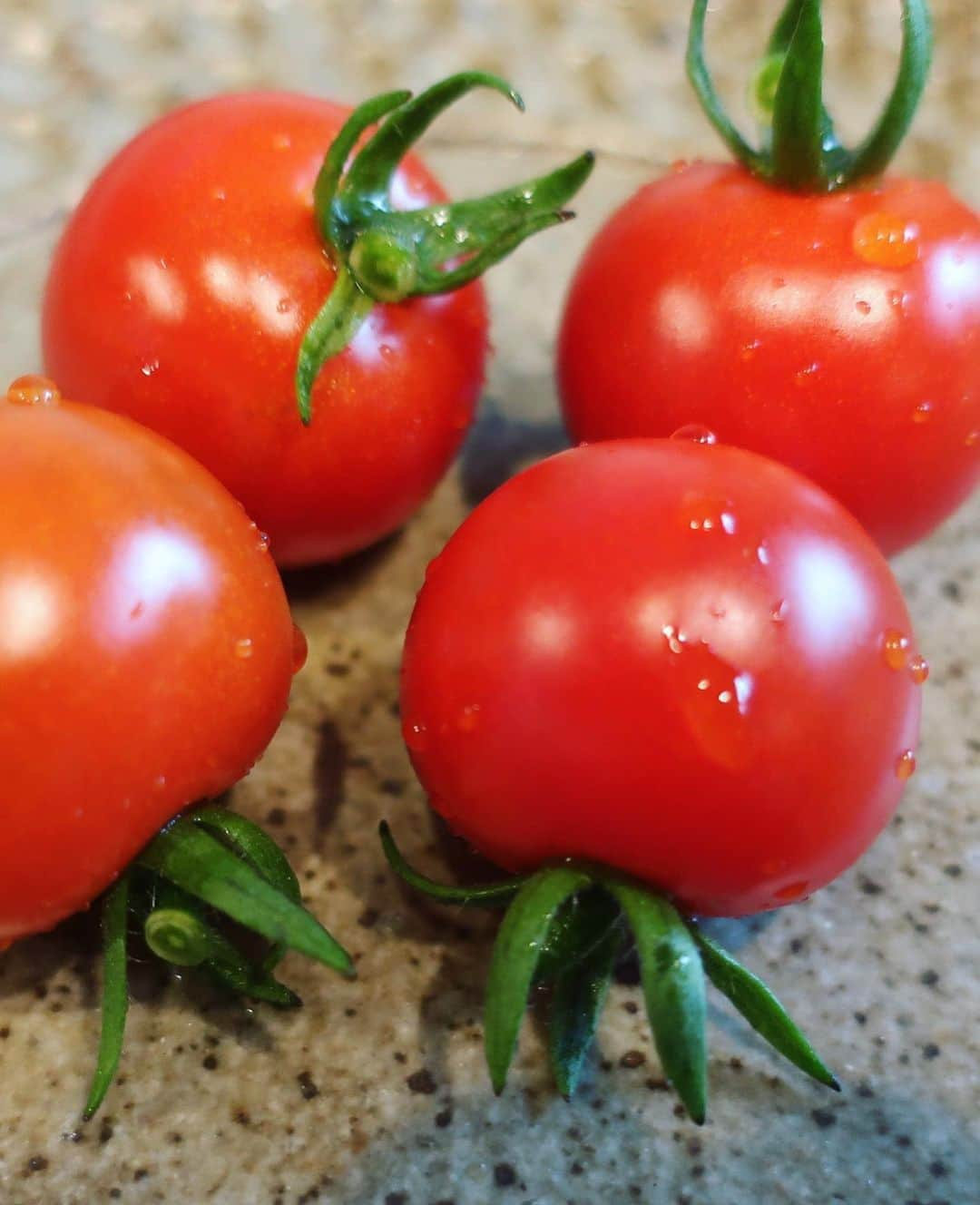 河村花さんのインスタグラム写真 - (河村花Instagram)「. お家で育ったトマト🍅 美味しかった！」6月22日 13時36分 - hana_kawamura