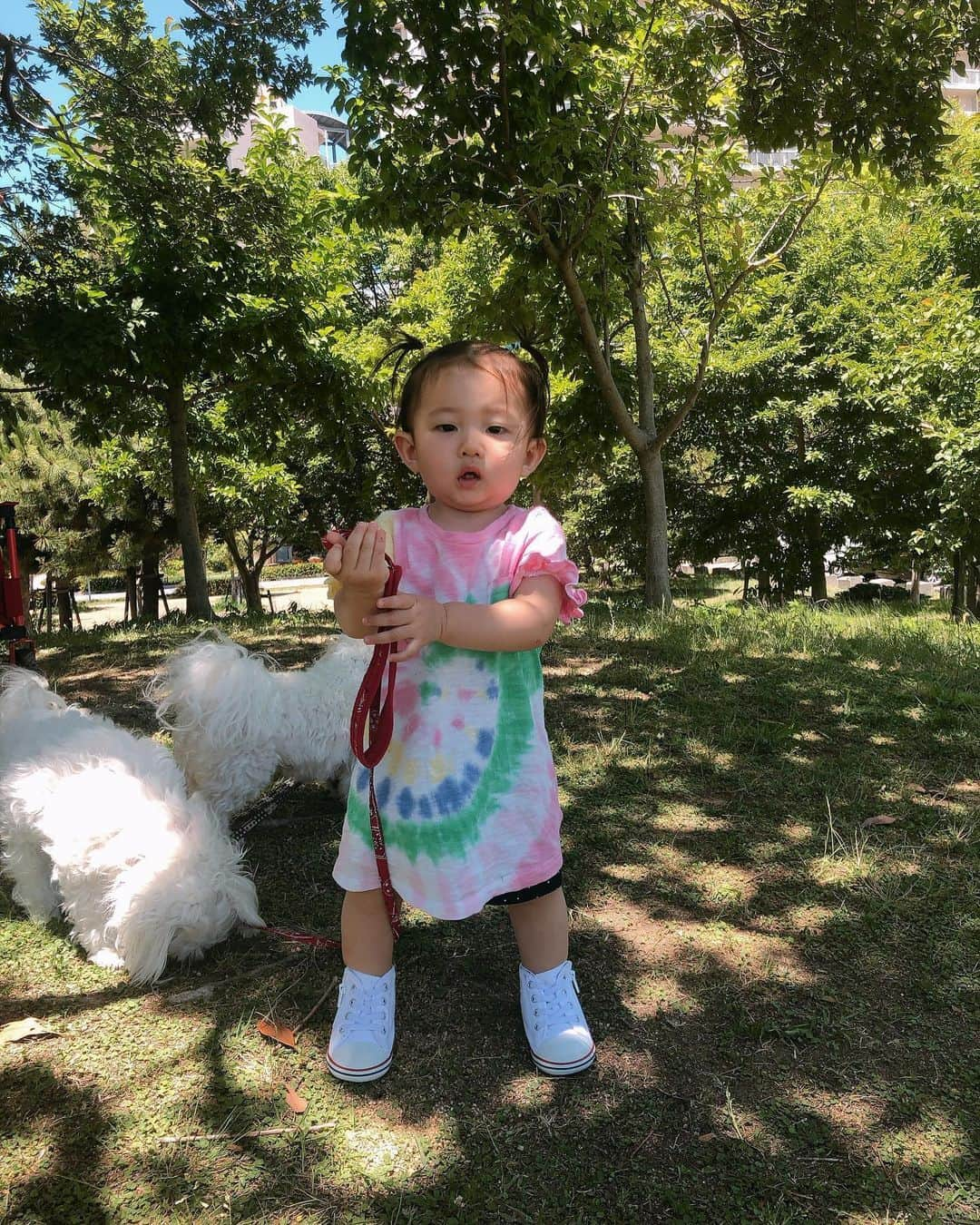 松田陸さんのインスタグラム写真 - (松田陸Instagram)「⚽️ 1歳になりました🎉 生まれてきてくれてありがとー‼︎ 毎日成長してくれて嬉しいぜ😋」6月22日 13時58分 - riku_matsuda_02_official