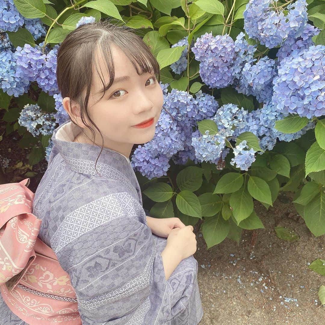 まなさんのインスタグラム写真 - (まなInstagram)「三室戸寺の紫陽花見に行ってきました‼︎ 好きなお花だからほんとテンション上がった🙌🏻💕 #京都#宇治 #三室戸寺 #紫陽花 #あじさい #着物 #着物女子 #ポートレート#portrait #写真#photo #横顔 #お団子ヘア #着物ヘアアレンジ #着物好きな人と繋がりたい #写真撮ってる人と繋がりたい #写真好きな人と繋がりたい #カメラマンさんと繋がりたい #関西 #観光 #紫陽花寺 #京都観光 #コスプレイヤー #ポートレートモデル #役者#舞台#かわいくなりたい #自撮り #梅雨 #梅雨入り」6月22日 19時34分 - aihana_1104