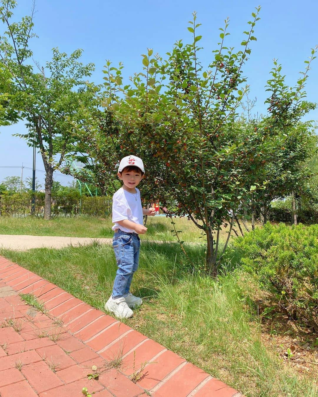 ウンチェさんのインスタグラム写真 - (ウンチェInstagram)「. 요즘 1일 3깡 아니고 , #1일3아이스크림 하시는 분 👦🏻 . . 그 중 한 번은 꼭 , 제티를 우유에 섞섞 후 냉동실행 -  스스로 아이스크림도 만들어 먹고  #다컸네다컸어 🤍 - - - - #뜽유 #아들스타그램 #육아스타그램 #세젤귀」6月22日 19時36分 - __leehye