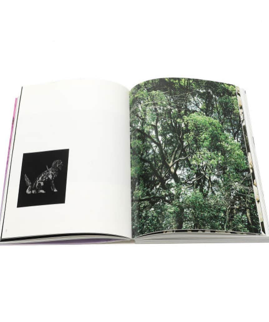 BEAMS JAPANさんのインスタグラム写真 - (BEAMS JAPANInstagram)「<大和田良>  オンラインでの販売がはじまりました。 大和田良の最新作。 「R」 ¥8,000+Tax ※オリジナルプリントがランダムに付いてきます。 —————————————————————— . これまでに様々なテーマに合わせて作品制作と発表を続けてきた大和田良が、写真を始めた20代前半から現在に至るまでの約20年という時間の中で、日常的にシャッターを押し続け写し出してきた、膨大なスナップ写真を一冊にまとめた写真集『R』。 —————————————————————— BEAMS JAPAN 5階 @b_gallery_official ☎︎03-5368-7309  #大和田良 #ryoohwada #Photographer  #写真家 #Kesa Publishing #B_GALLERY #BEAMS_ARTS﻿ #bgallery #beamsjapan #beams #日本 #東京 #新宿 #Japan#tokyo#shinjuku」6月22日 14時52分 - beams_japan