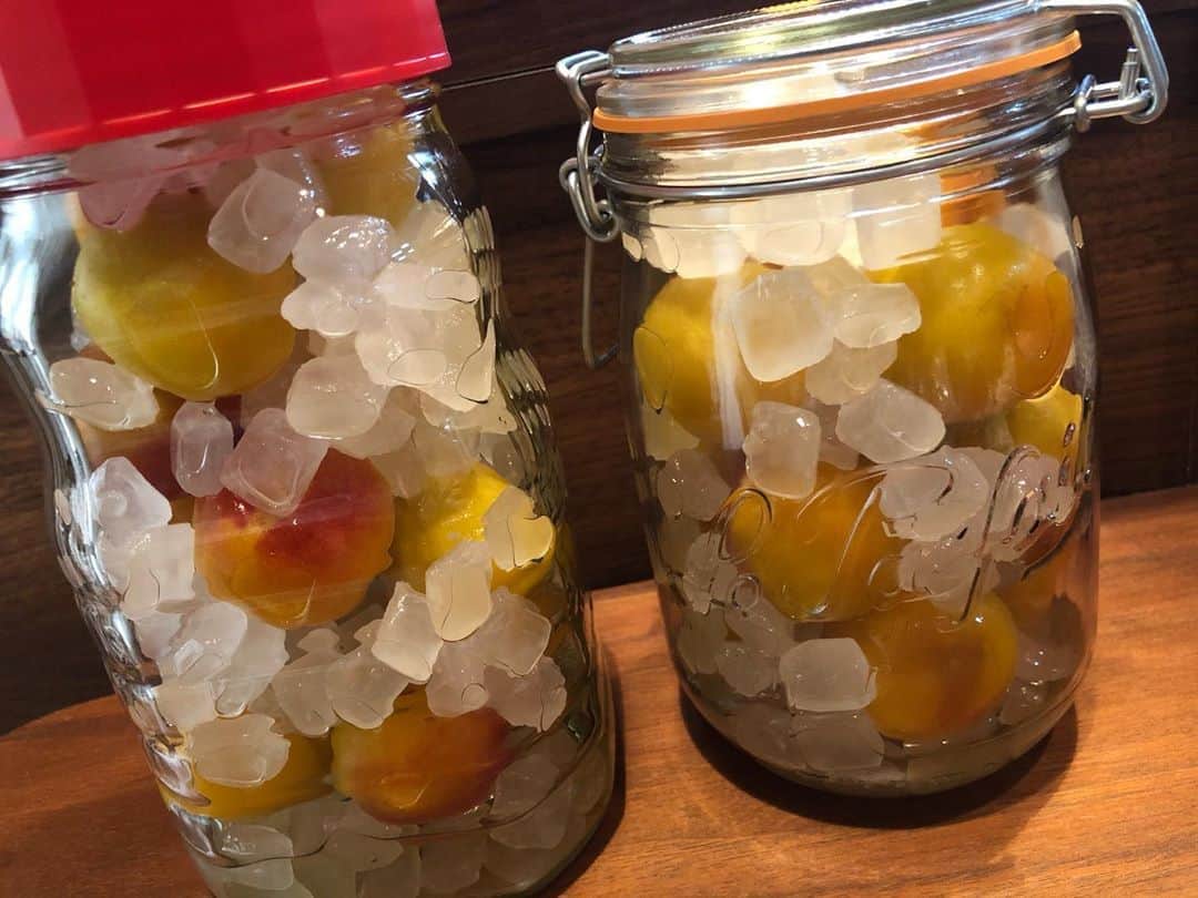 のインスタグラム：「* キーノ和歌山でgetした 南高梅を使って梅シロップ作り◡̈ 美味しく出来上がりますように...♡ #梅仕事 #梅シロップ #梅 #南高梅 #紀州南高梅  #和歌山 #キーノ和歌山 #アナウンサー」