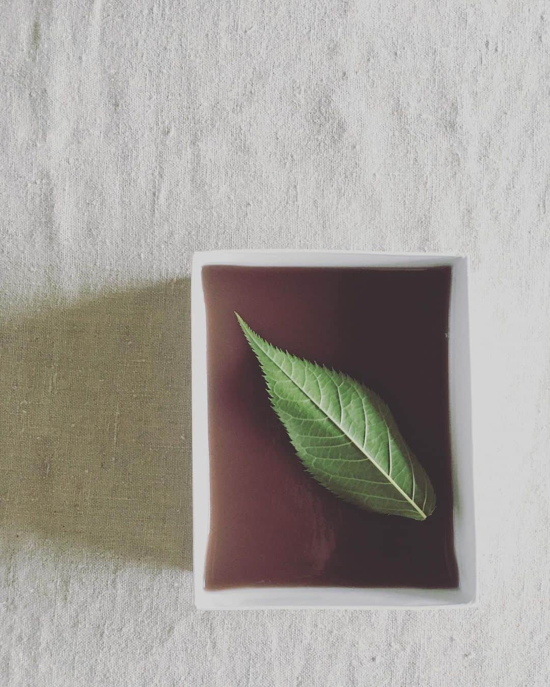 猫沢エミのグルメインスタ