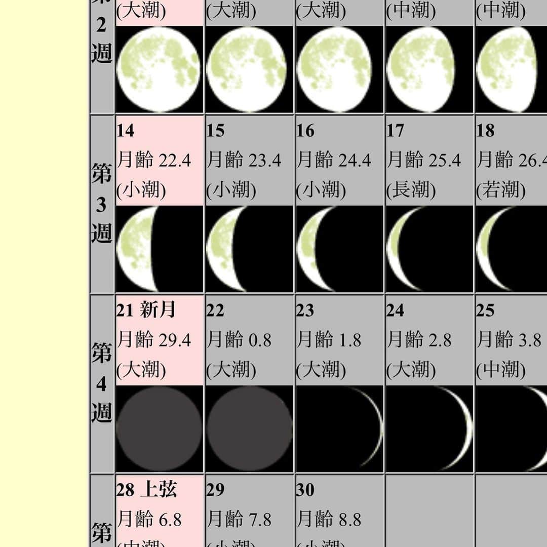 濱田マサルさんのインスタグラム写真 - (濱田マサルInstagram)「えーっと。 昨日が新月で、、 気圧は普通で。。 水星逆行中なのかな。。 今日は✊🏻👁👁✊🏻」6月22日 16時40分 - hamadamasaru