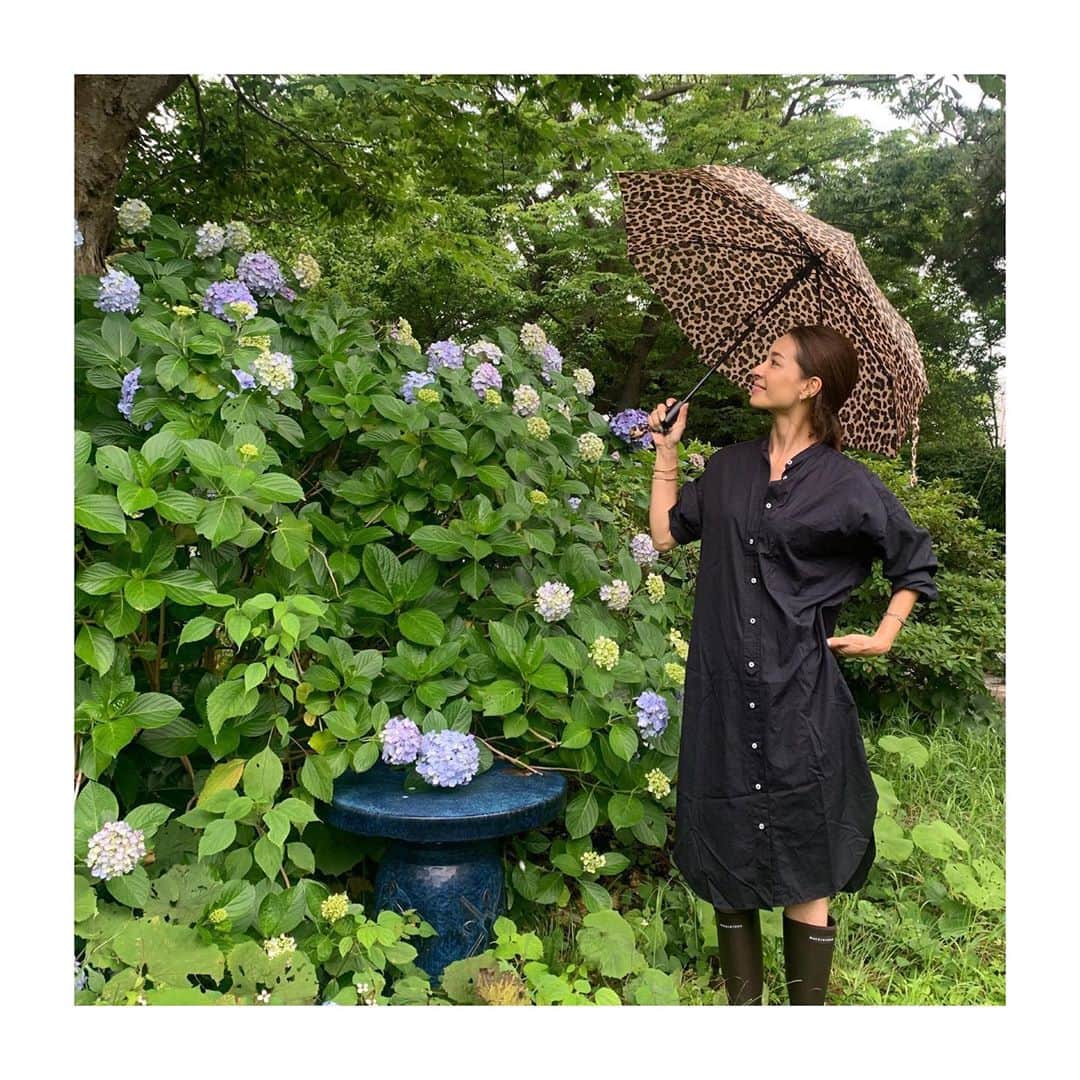 稲沢朋子さんのインスタグラム写真 - (稲沢朋子Instagram)「朝大雨で長靴を履いて傘を持って出たのに！ 昼前には晴天☀️😅 ブラウンの長靴とレオパードの傘は　@mackintoshofficial  雨をはじく機能性のあるシャツワンピースは通気性も良く昨年購入した物　@yanuk_official  梅雨時期に大活躍です👍😊 #アイテムタップしてね」6月22日 16時57分 - ina_tomo