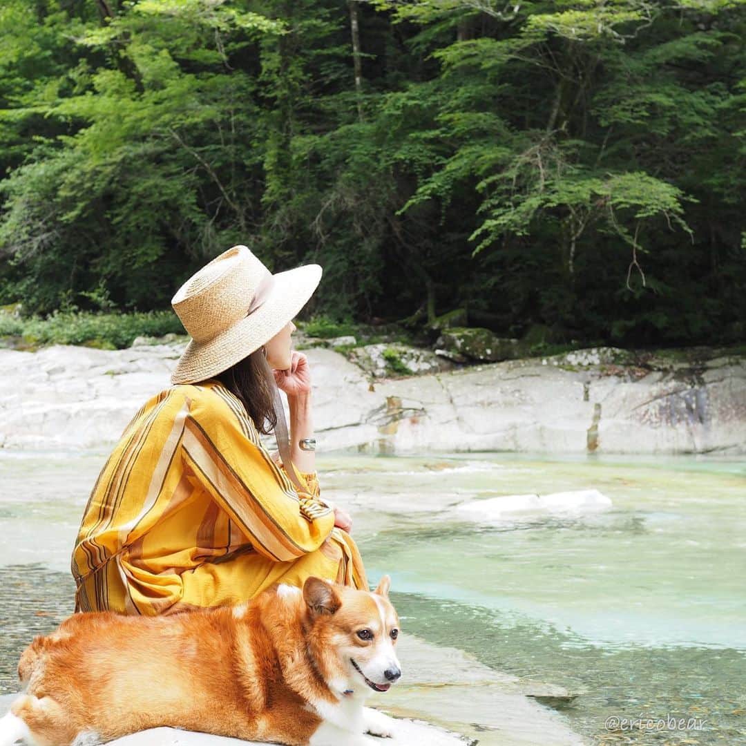 ericoのインスタグラム：「✩ 久々のお出かけ 癒しと涼を求めて 面河渓谷へ🏞 ✩ The nature makes us feel relaxed. ✩ #この後スパルタダイエット塾が開校されることを彼はまだ知らない ✩  #それいけ力丸くん #コーギー  #犬のいる暮らし#pembrokewelshcorgi  #corgistagram #barked #myfavcorgi #buzzfeed #corgisofinstagram  #dailyfluff #9gag #weeklyfluff #dogstagram #corgibutt」