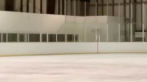 立野在のインスタグラム：「『崩れ落ちる立野氏』  何かやらかしたんでしょうね #icedance」