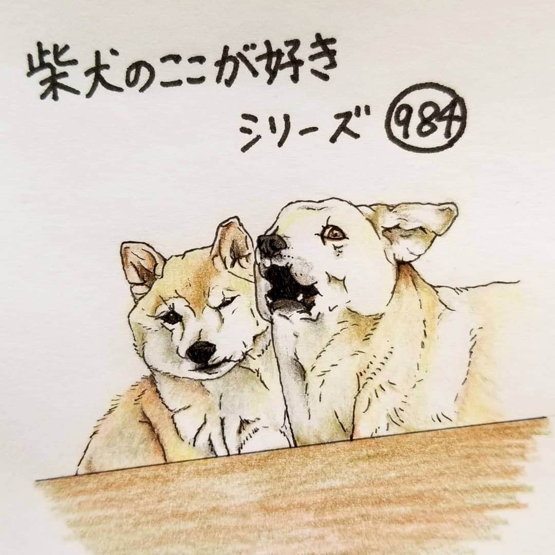 ハナとソラのインスタグラム