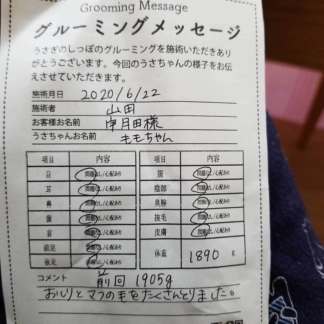 宇月田麻裕さんのインスタグラム写真 - (宇月田麻裕Instagram)「もも、#うさぎのしっぽ さんで #グルーミング  していただきました🎵 いつも、丁寧、親切にしていただきましてありがとうございます。山田店長さん、ありがとうございます🐰 #うさぎのしっぽ恵比寿店」6月22日 17時17分 - mahiro_utsukita