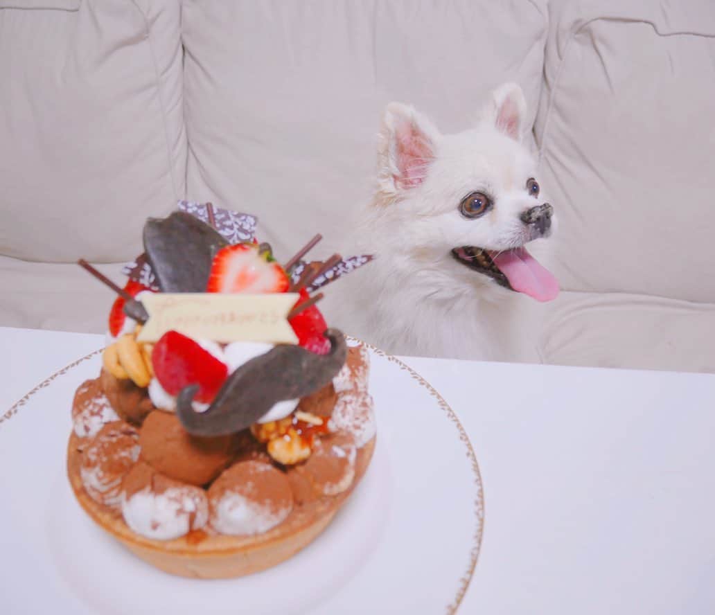 黒坂優香子さんのインスタグラム写真 - (黒坂優香子Instagram)「♡ ・ ・ Happy Father's Day🎂💐 ・ ・ ・ ケーキを置いた瞬間にスタンバイするこころさん👼笑 ここたんのじゃないよ😂 ・ ・ みんなも感謝の気持ちと愛を伝えられたかな？♡ ・ ・ #父の日　#happyfathersday」6月22日 17時33分 - yukakokurosaka0606