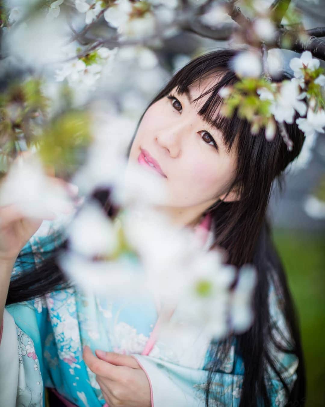 高橋さくらさんのインスタグラム写真 - (高橋さくらInstagram)「* * 好きな気持ちを 君に伝える方法をおしえて。 * *  山桜の花言葉、微笑み。 たくさんともさんの写真出したい！ けどもったなすぎる！♥ さくらの寄りはともさんオンリーで見れます笑 ↑求めてない笑笑  #山桜 #春 #桜 #和服 #ポートレート #カメラマン #モデル #青 #撮影 #花 #白 #光 #自然光 #splus_cameraclub  #かずさん写真部」6月22日 17時46分 - sakulav214