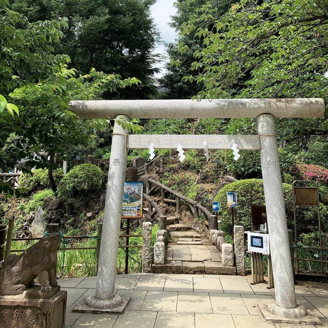 のインスタグラム：「夏至の日  幼なじみと千駄ヶ谷の鳩森八幡宮にお参りに。  その後にお祝いもあって久しぶりの外食。代官山でフレンチのランチ。 とても美味しくて胸に嬉しい時間。  友達の今の話や、自分ひとりだと内観しきれない部分を語り合ったりのかけがえのないひとときでした。  今、感じることや辿りつかないものについて、てらいなく話せる幸福がありました。」