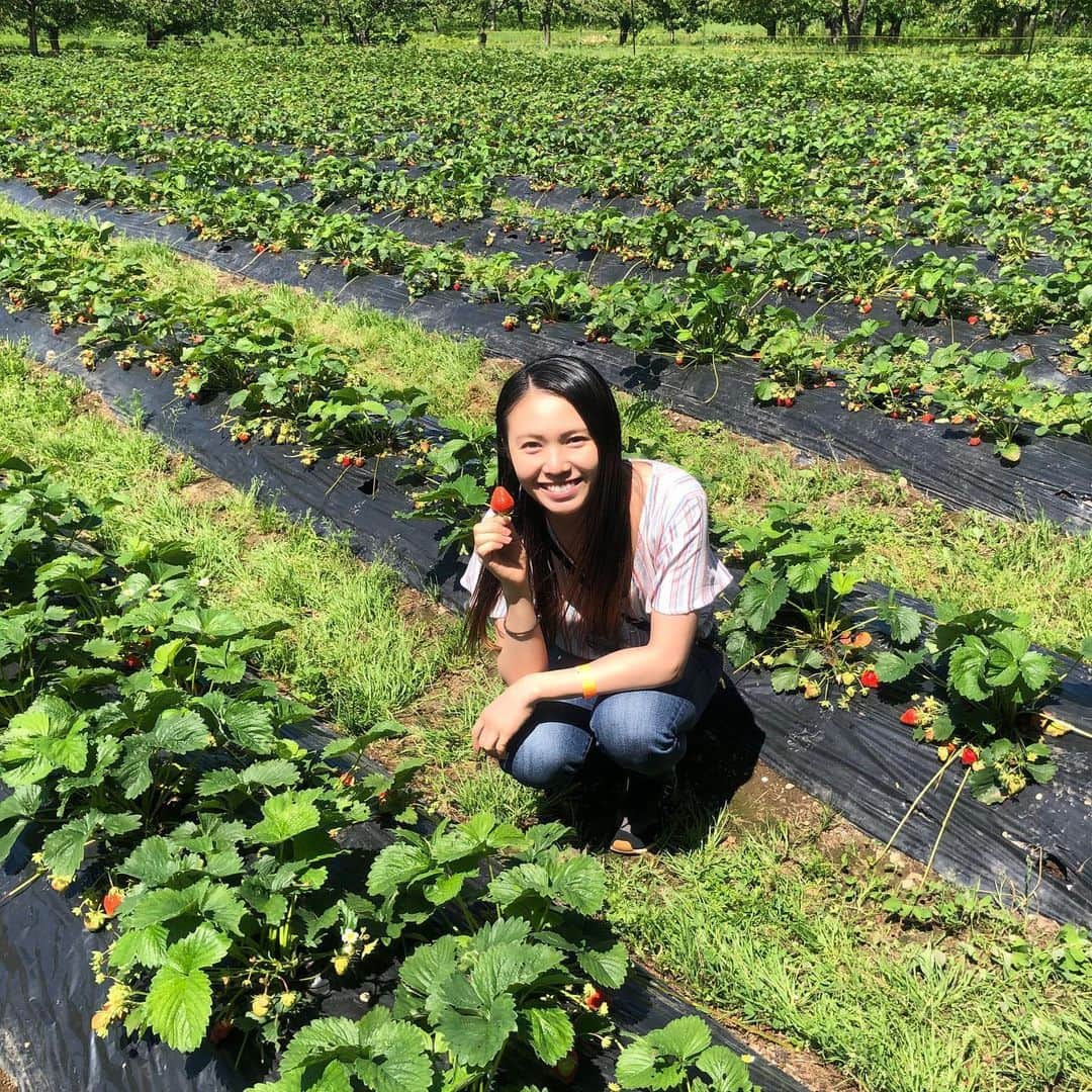 松本遥奈のグルメインスタ