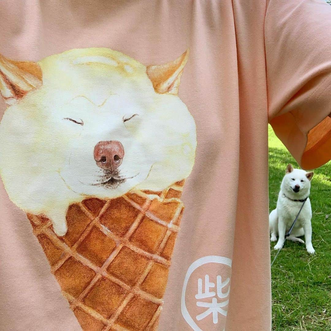 さなのインスタグラム：「しバニラTシャツとぼくたちわたしたち。  #しバニラTシャツ　#SUZURI #しバニラTシャツの威力 #しバニラTシャツの驚異 #しバニラTシャツとリアルシバ #同化　#完全に一致 #オシバなじみ #毛しからん」