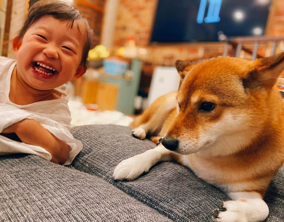 尾形貴弘のインスタグラム：「こんな最高な2ショットはないよ！  #柴犬大好き #柴犬マニア  #愛犬  #赤柴 #しばけん  #しばちゃん  #しばいぬ大好き  #shibainu  #shiba_snap  #犬ばか部  #いぬばか部 #ミク #三九 #39 #パンサー尾形 #赤ちゃん #赤ちゃんのいる暮らし #赤ちゃんと犬 #2歳 #ミクサクタカヒロ #サンキュー #ママリ #ベビフル」